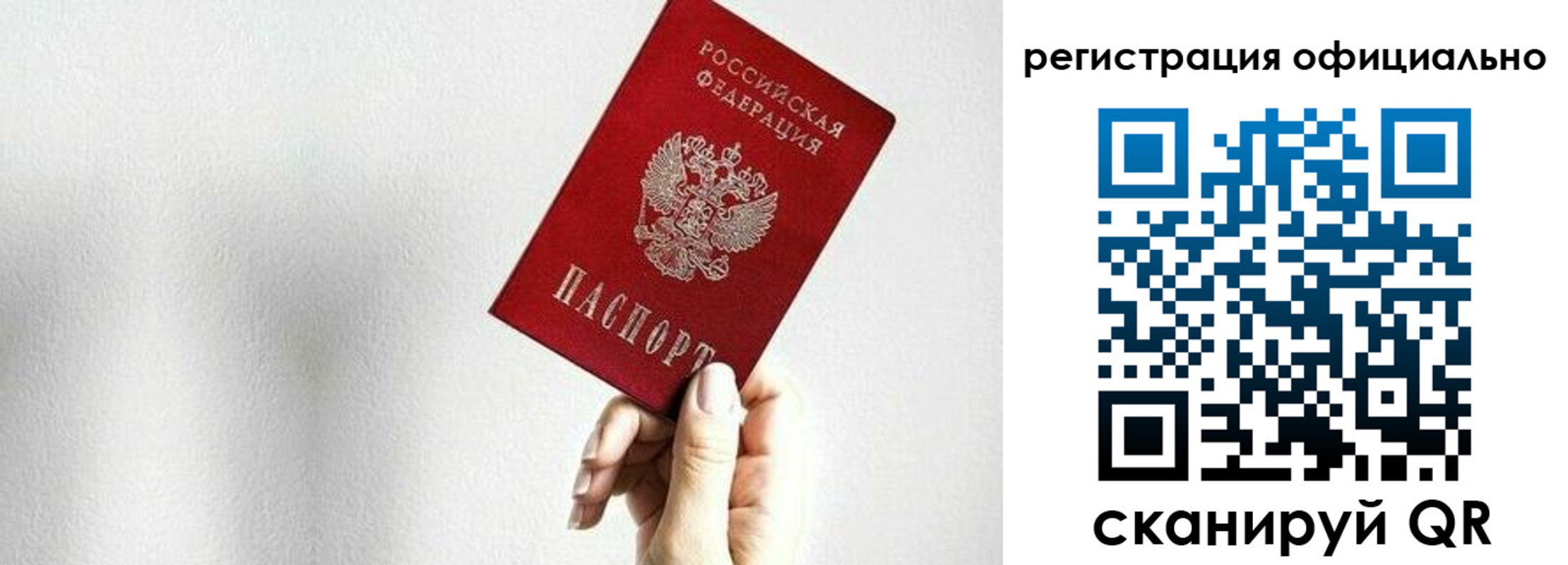 прописка поиск в Курске