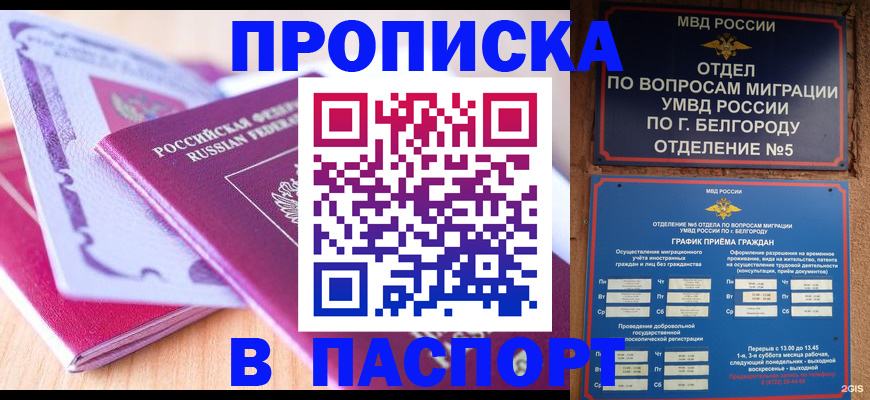 временная регистрация законно в Курске